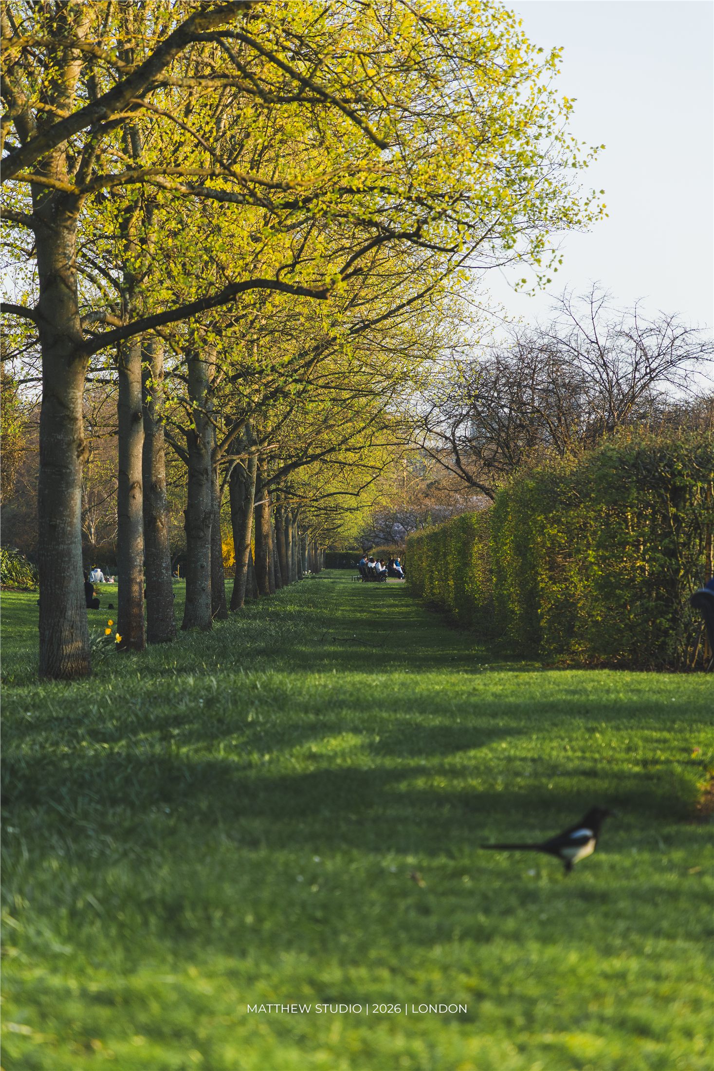Regent's Park